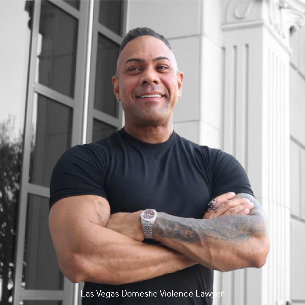 Soaring High and Racing Fast, Thrill Rides of Las Vegas, Nevada 1