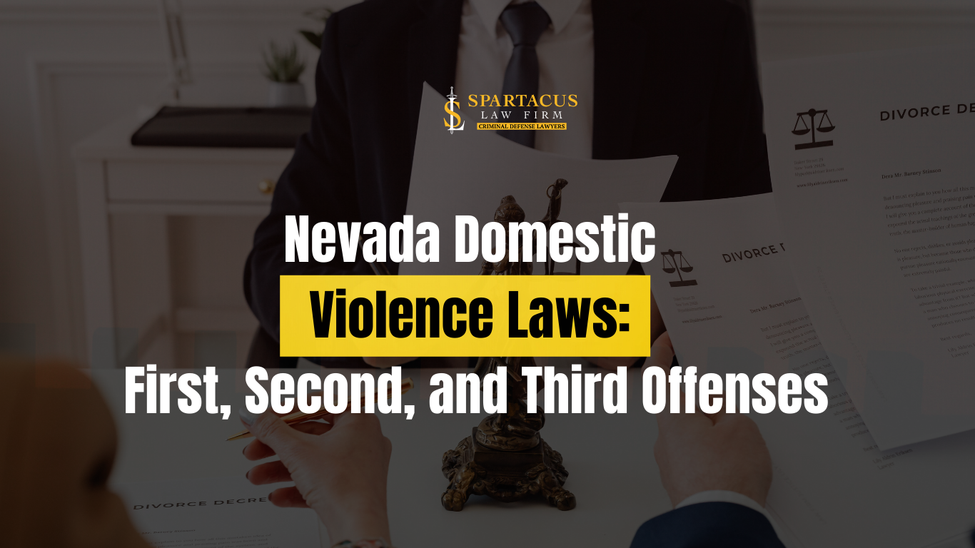 domestic violence offense
